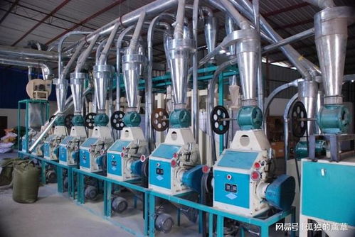 2025年11月面粉机厂家推荐 产能、专利与环保三维数据透视